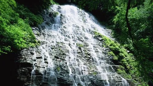 绿色高标准高精度